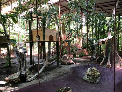Jaguar Rescue Center Tour